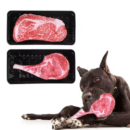 Simulation Squeaky Bone Dog Toy – Durable Oxford Cloth Plush Chew Toy for Dogs & Cats
