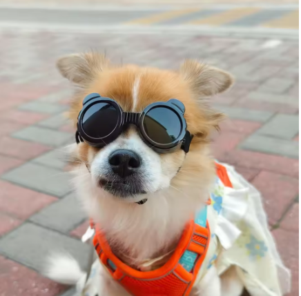Pet UV Protection Sunglasses for Dogs