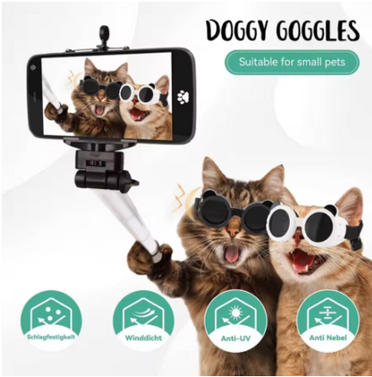 Pet UV Protection Sunglasses for Dogs