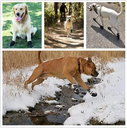 Waterproof Anti-Slip Dog Boots – Protective Outdoor Paw Shoes for Large & Medium Dogs (Set of 4)