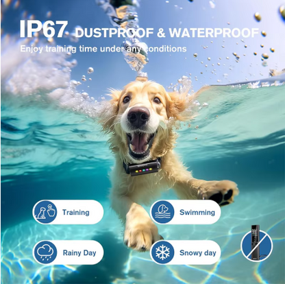 Rechargeable Dog Training Collar with Remote – Waterproof 4-Mode Training Collar for Dogs 8–120 lbs