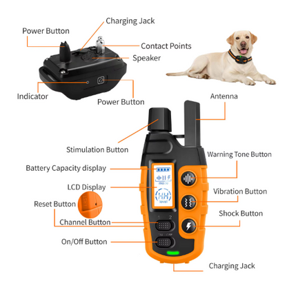 Rechargeable Waterproof Dog Training Collar with Remote – Long Range Beep, Vibration & Static Training Collar