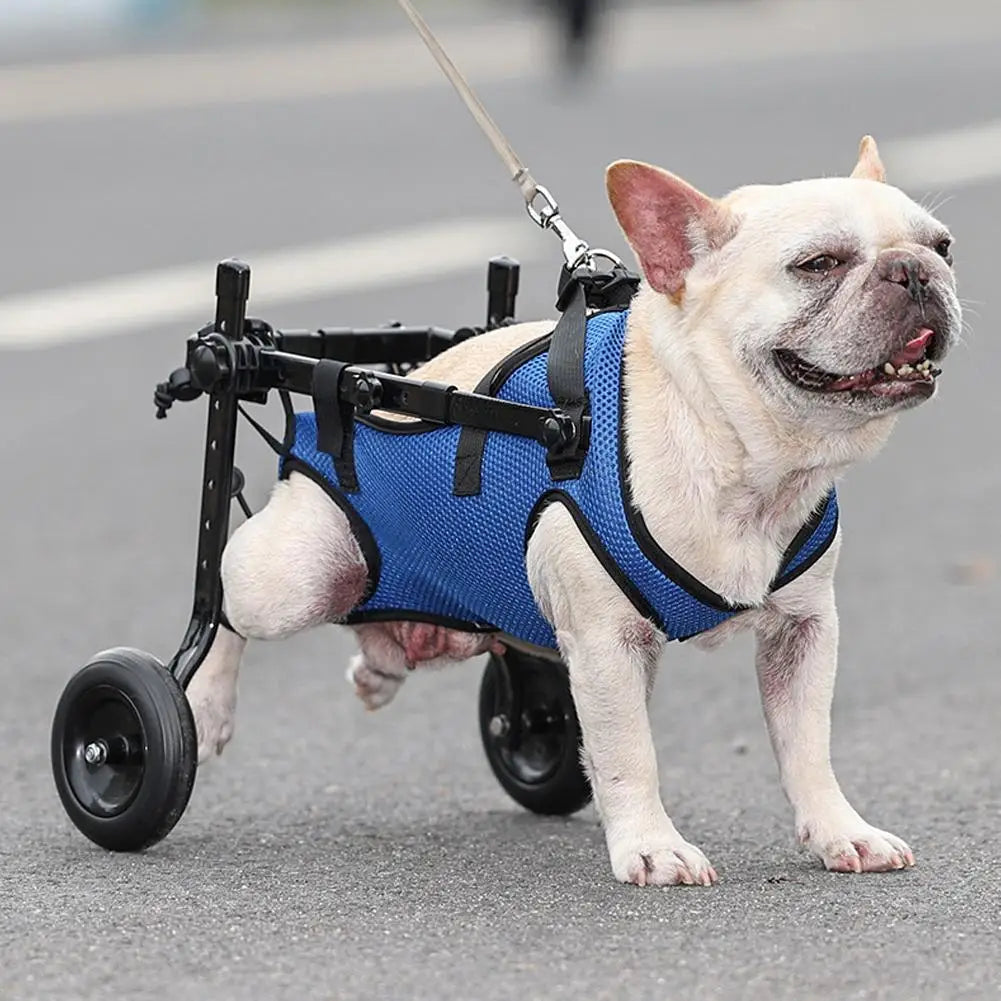 Adjustable Dog Wheelchair for Back Legs – Rear Support Mobility Cart for Small, Medium & Large Dogs