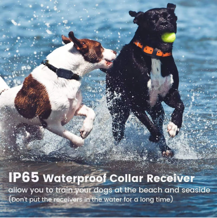 Rechargeable Dog Training Collar – Waterproof Remote E-Collar with Beep, Vibration & Static for Dogs