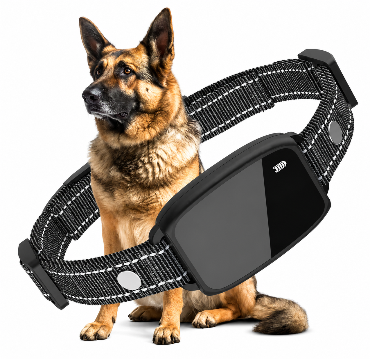 Portable Pet Bicycle Carrier Basket