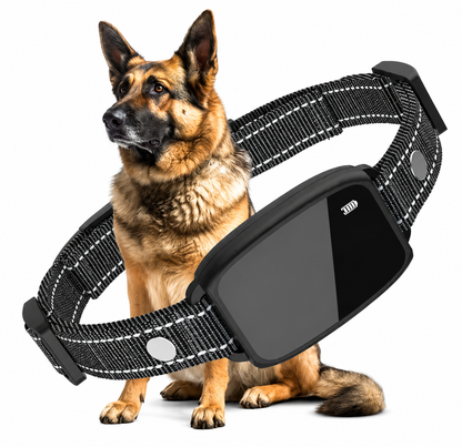 Portable Pet Bicycle Carrier Basket
