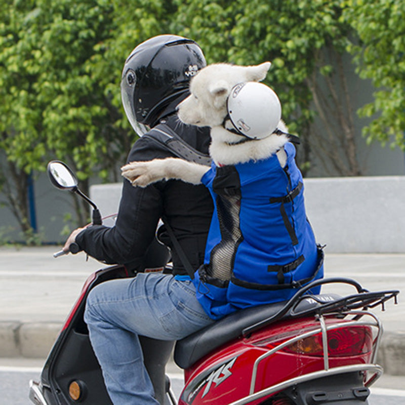 Travel Dog Backpack for Samoyed, Labrador, Corgi