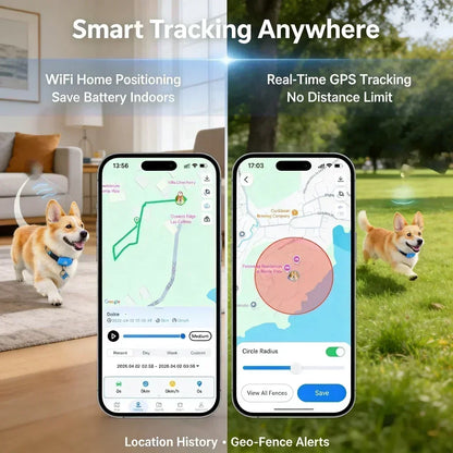 Waterproof GPS pet tracker collar on dog
