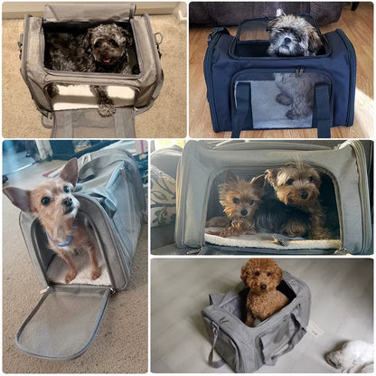 Breathable Pet Travel Carrier – Airline-Friendly Carrier for Cats and Small Dogs