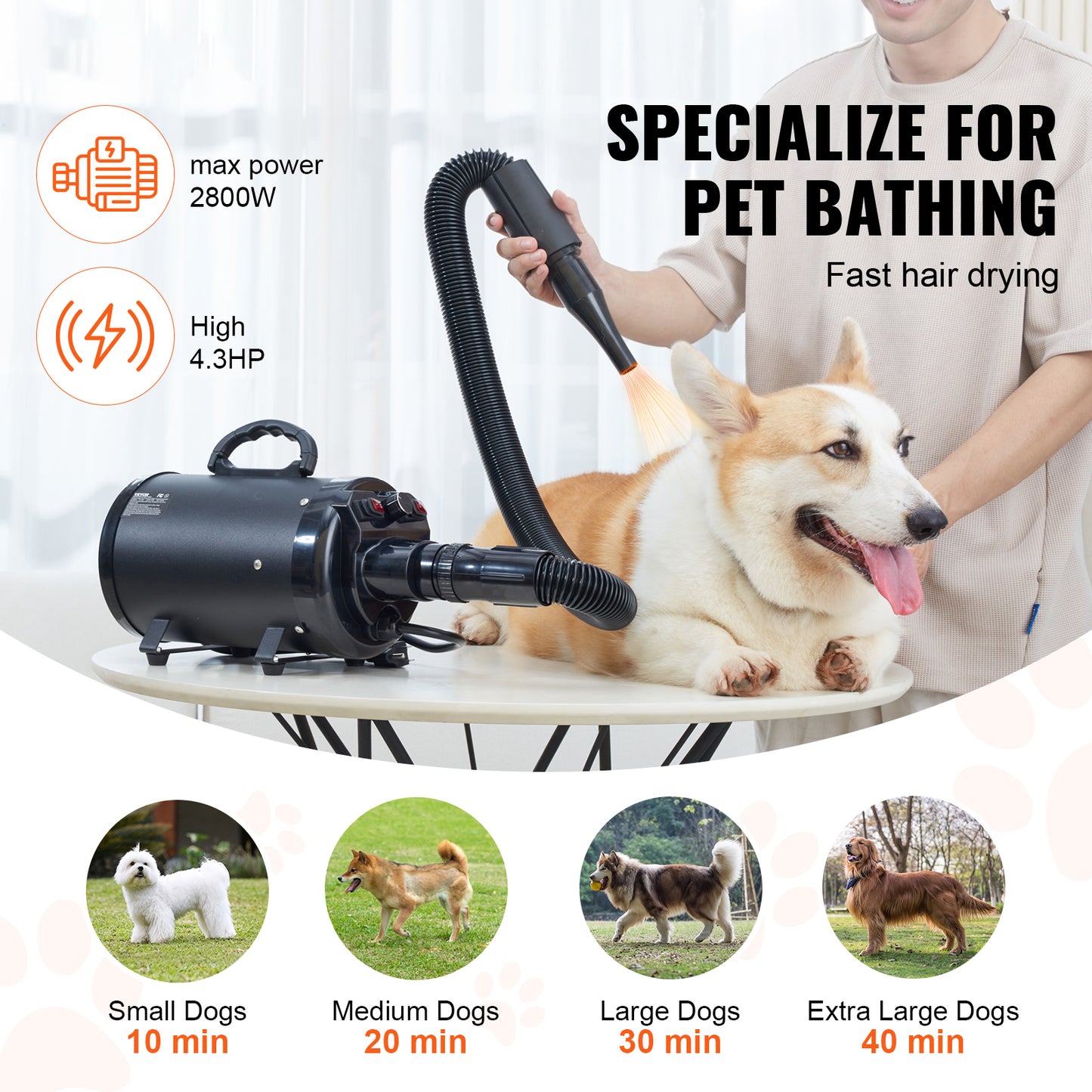 High-Power 2800W Dog Dryer with 4 Nozzles & Temp Control