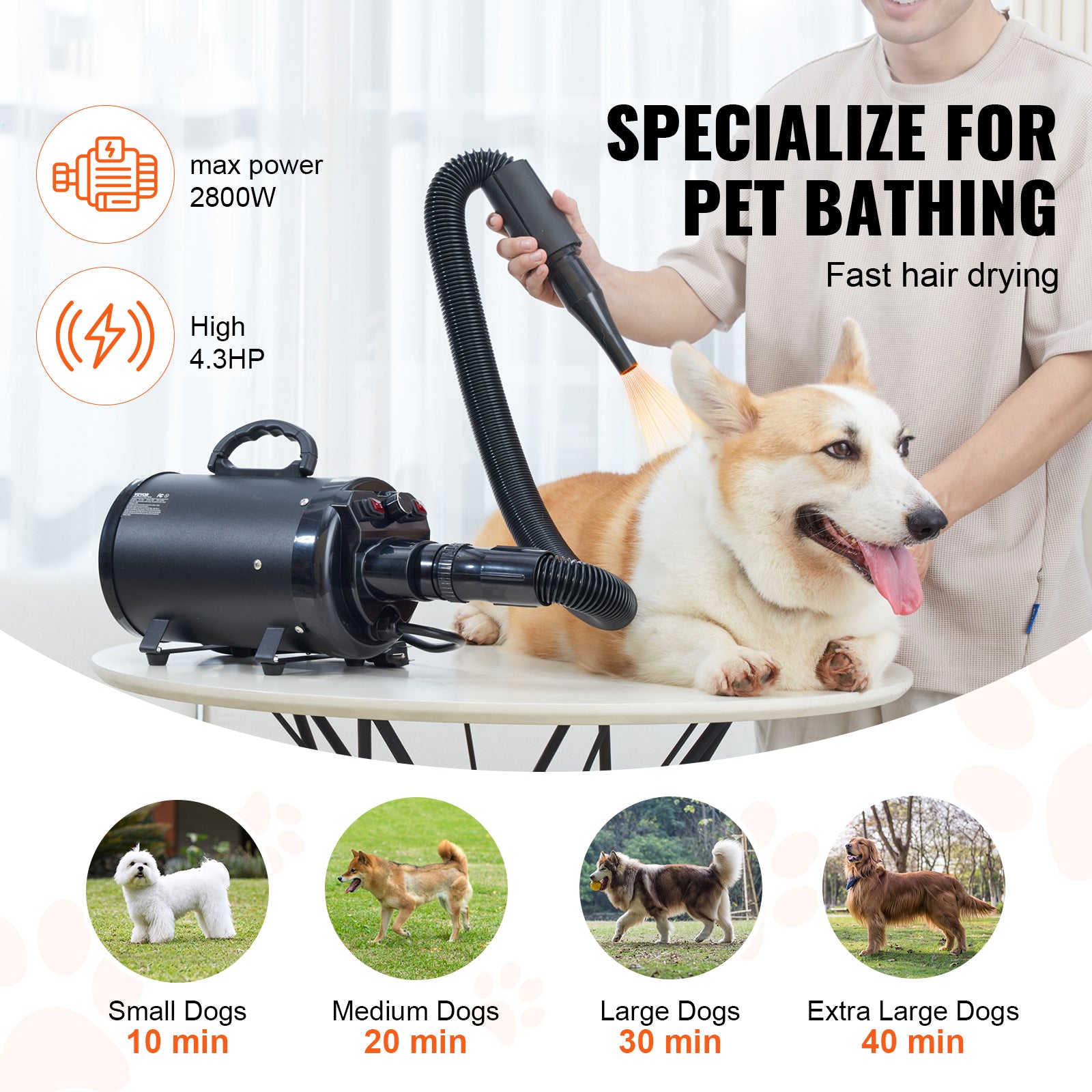 High-Power 2800W Dog Dryer with 4 Nozzles & Temp Control