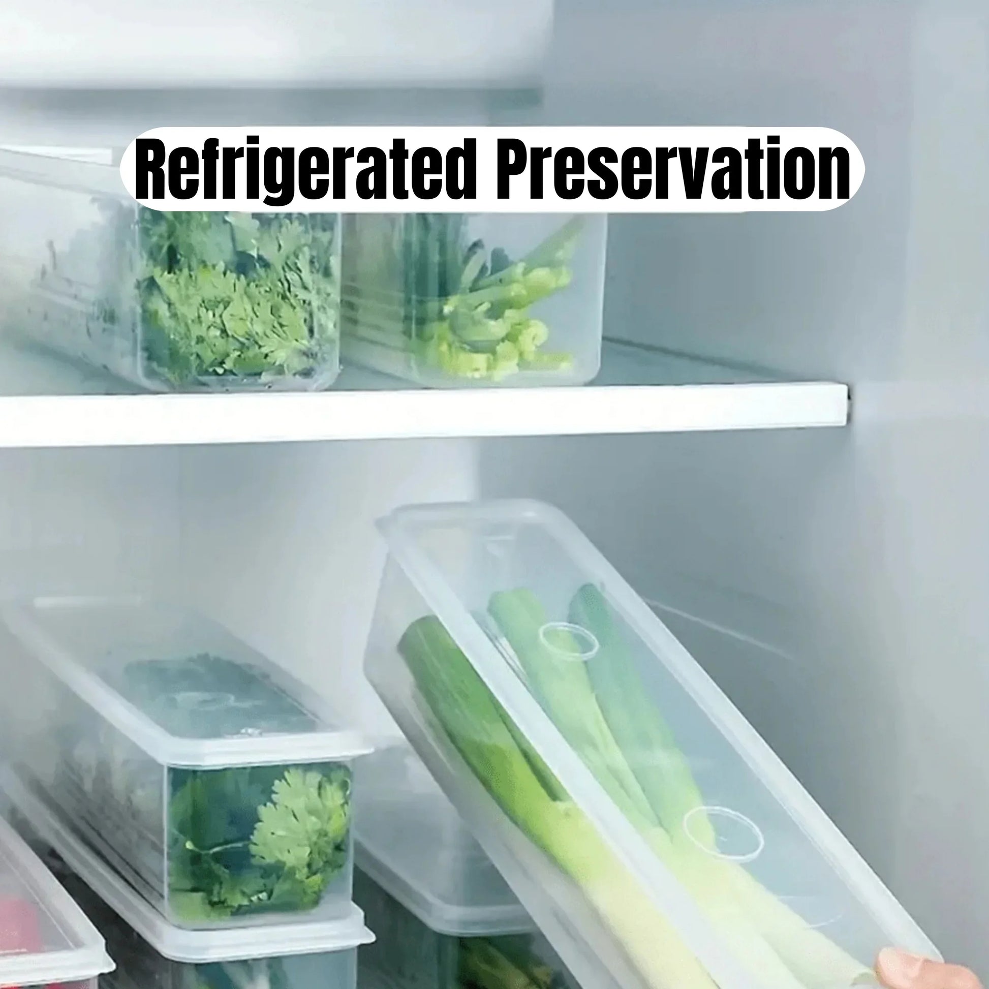 Sealed Storage Boxes for Fridge - Keep Food Fresh & Organized