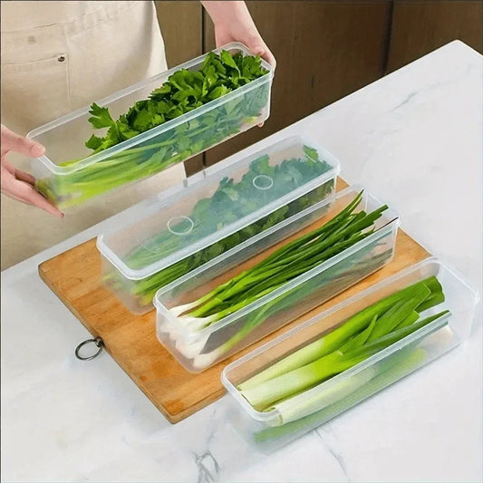 Sealed Storage Boxes for Fridge - Keep Food Fresh & Organized