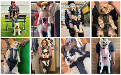 Dog Carrier Backpack – Comfortable & Hands-Free Travel for Your Pet