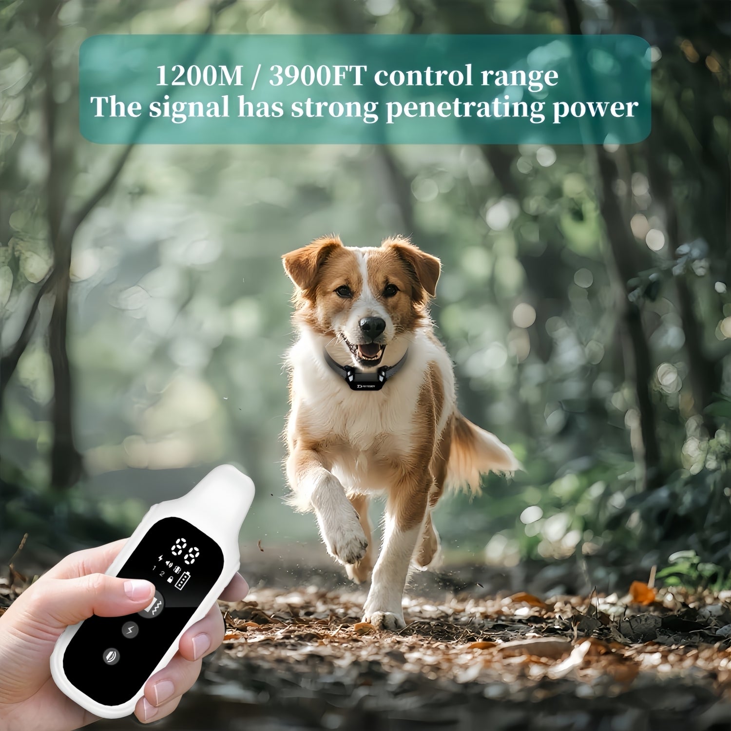 Digital Dog Collar 800m Range Waterproof & Rechargeable