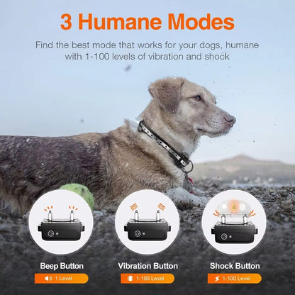 Waterproof Dog Training Collar with Remote - 1000m Range
