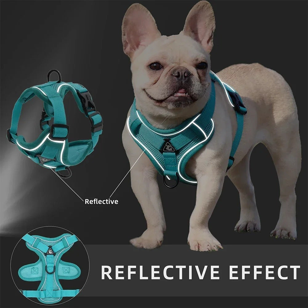 No Pull Dog Harness & Leash Set - Adjustable & Reflective