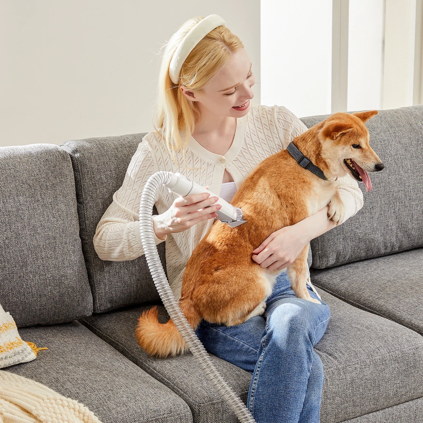 2.5L Pet Grooming Vacuum Kit cordless dog clippers