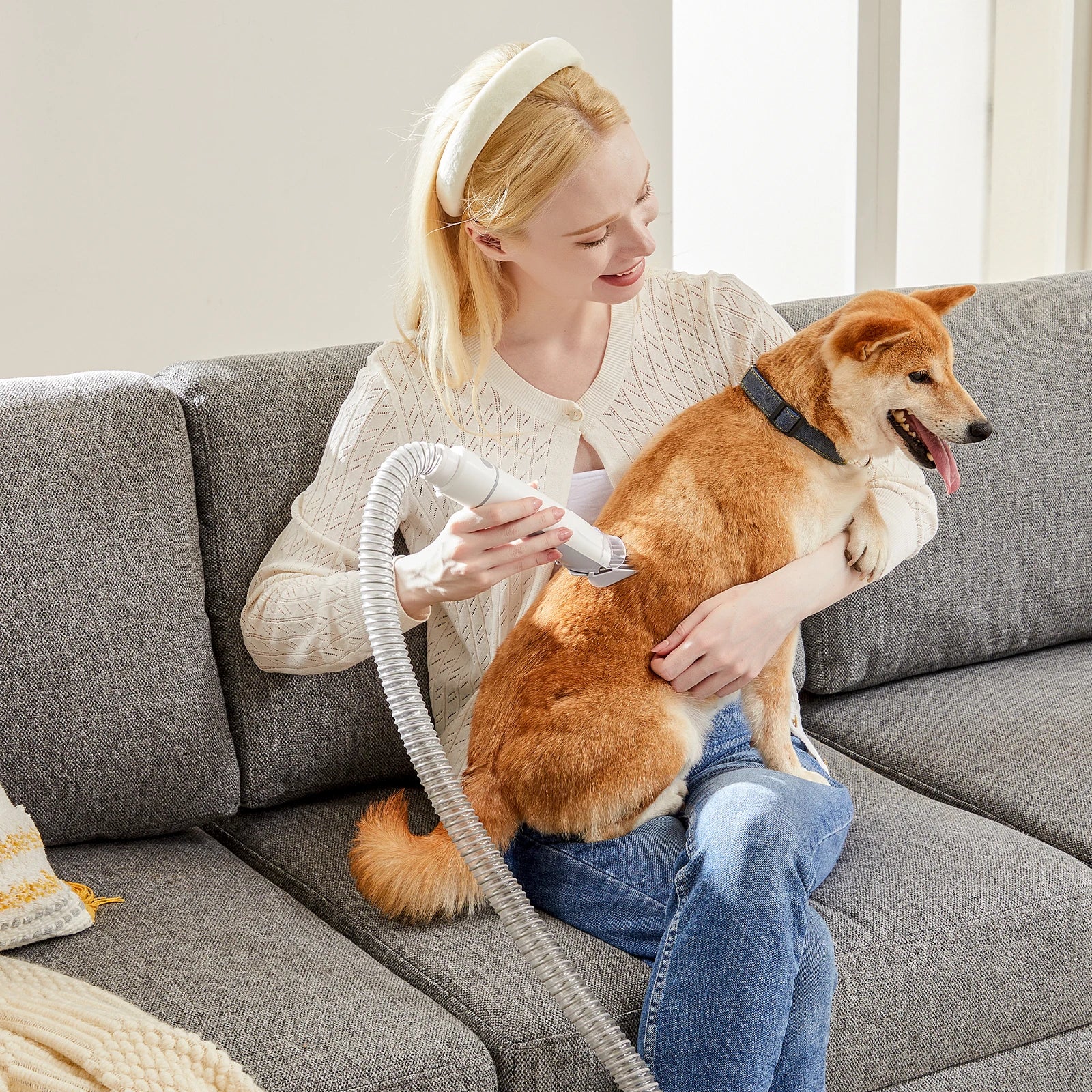 2.5L Pet Grooming Vacuum Kit cordless dog clippers