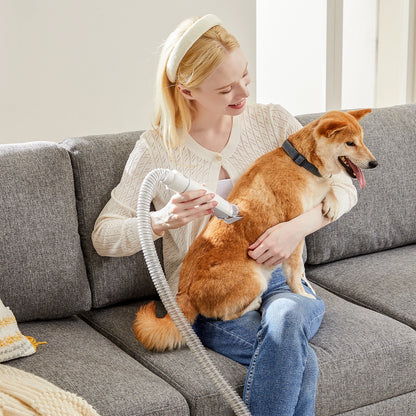 2.5L Pet Grooming Vacuum Kit cordless dog clippers