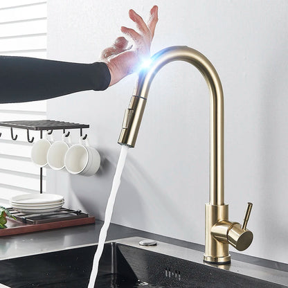 Black Touch Sensor Kitchen Faucet - Pull Out Sprayer