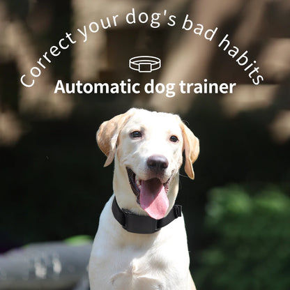 Automatic Anti-Bark Dog Training Collar – USB Rechargeable