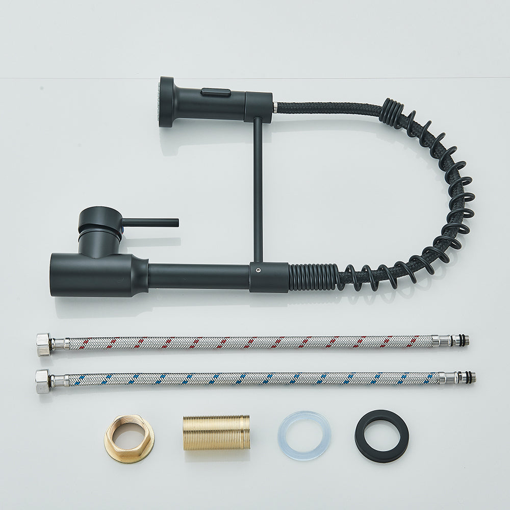 Matte Black Kitchen Faucet - Single Handle, Hot & Cold Tap