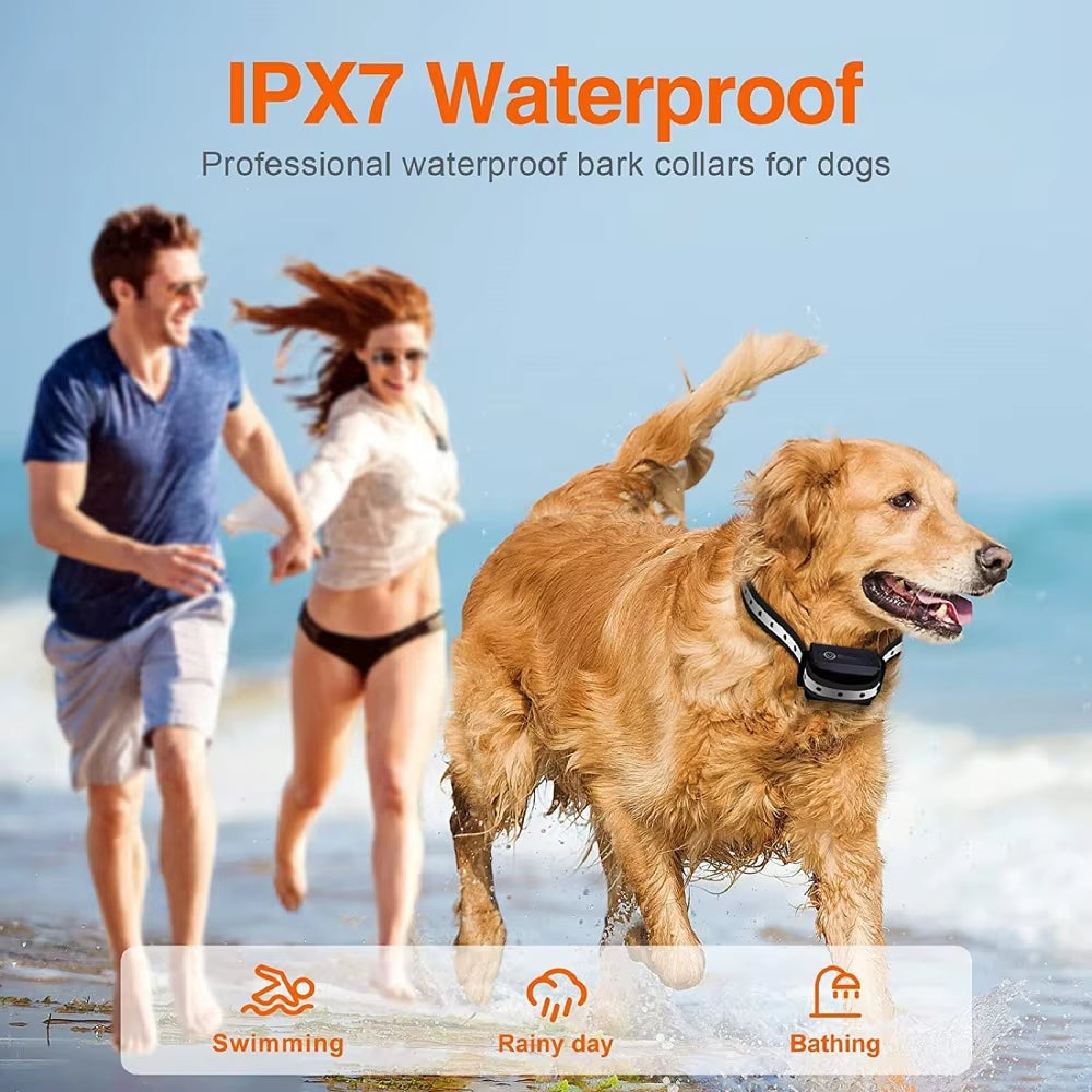 Waterproof Dog Training Collar with Remote - 1000m Range