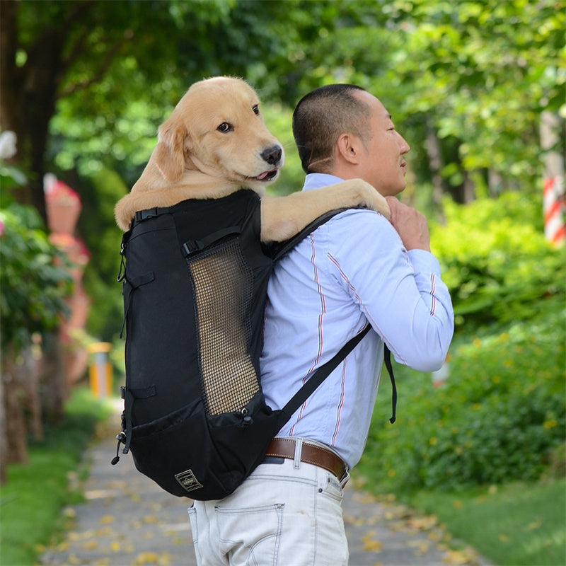 Travel Dog Backpack for Samoyed, Labrador, Corgi