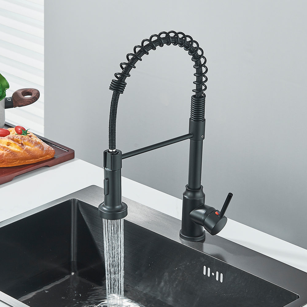 Matte Black Kitchen Faucet - Single Handle, Hot & Cold Tap