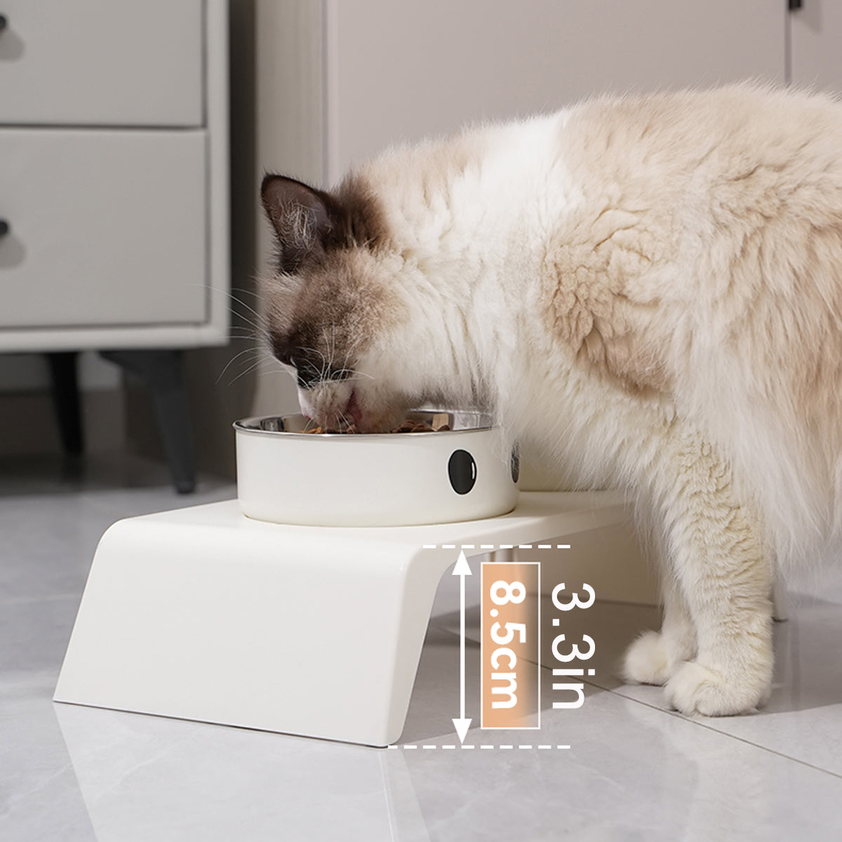 Elevated Dog Feeder Stand with Double Stainless Steel Bowls