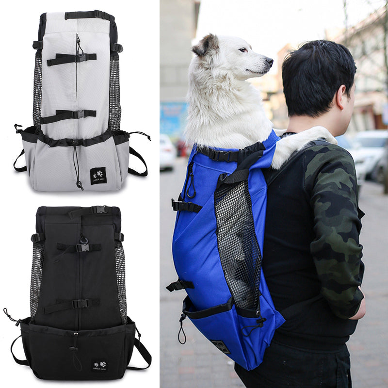 Travel Dog Backpack for Samoyed, Labrador, Corgi