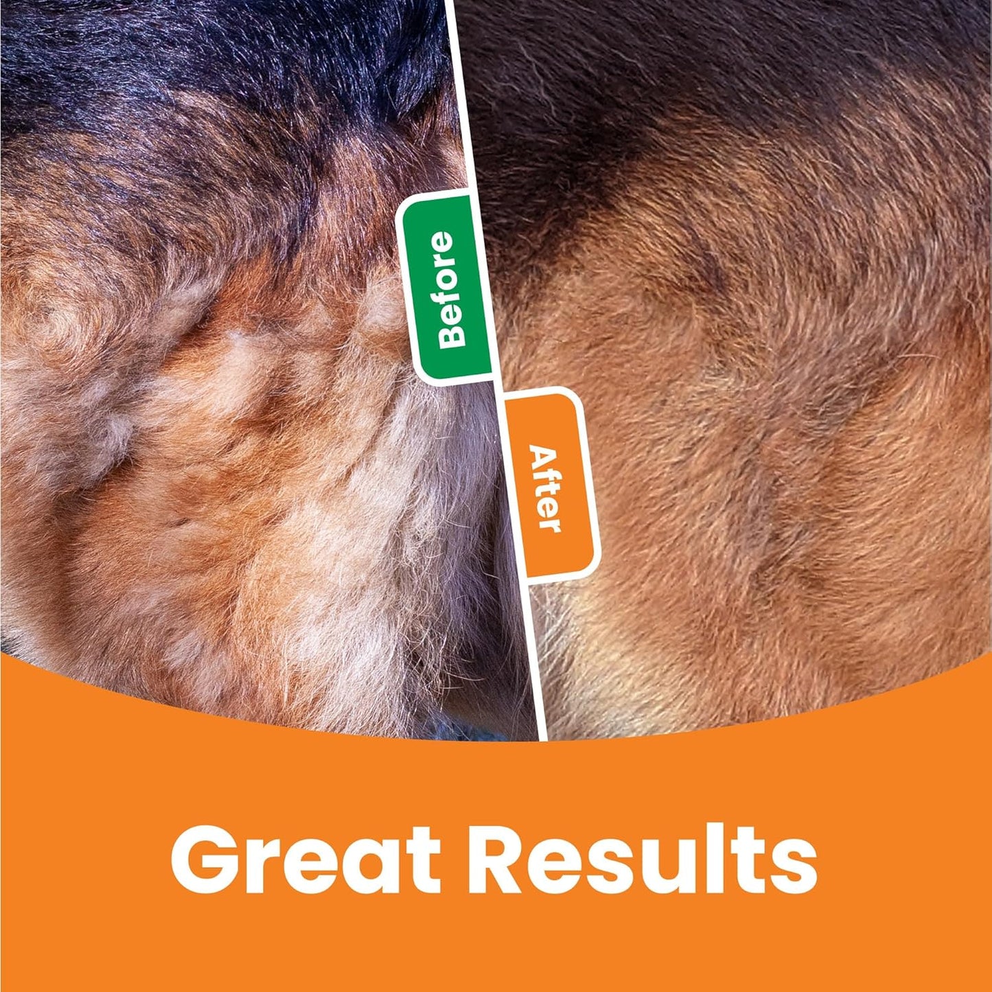 Dog Hair Remover: 3-in-1 Pet Deshedding & Knot Cutter Comb