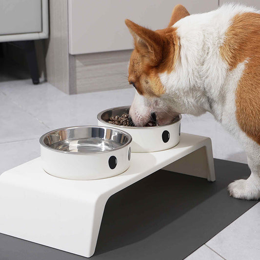 Elevated Dog Feeder Stand with Double Stainless Steel Bowls