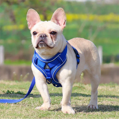 No Pull Dog Harness & Leash Set - Adjustable & Reflective