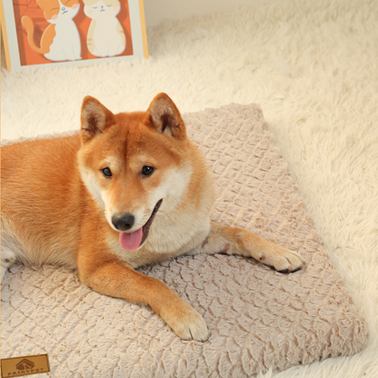Orthopedic Dog Bed - Washable Faux Fur, Waterproof, Anti-Slip