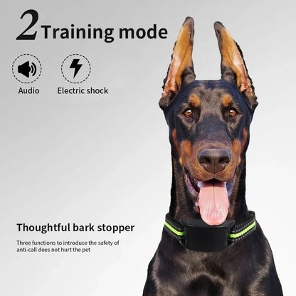 Automatic Anti-Bark Dog Training Collar – USB Rechargeable