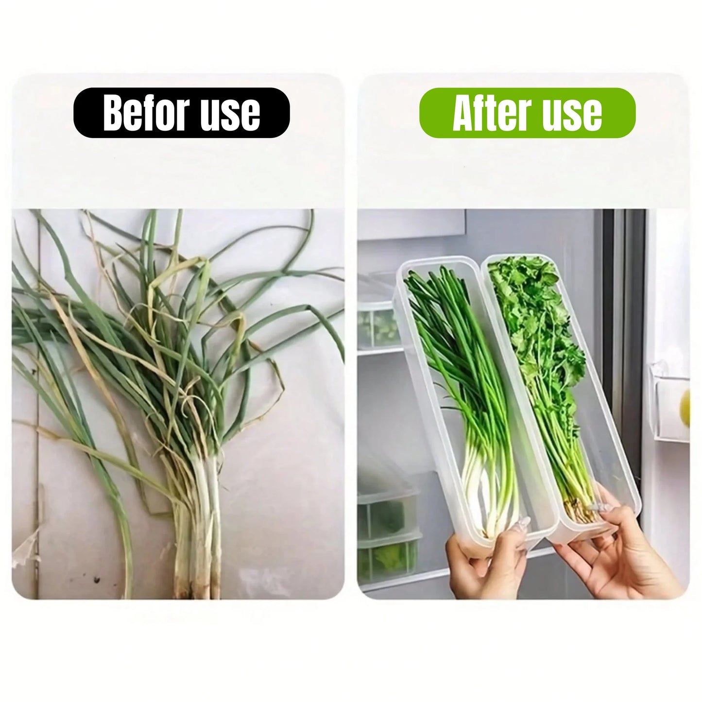 Sealed Storage Boxes for Fridge - Keep Food Fresh & Organized