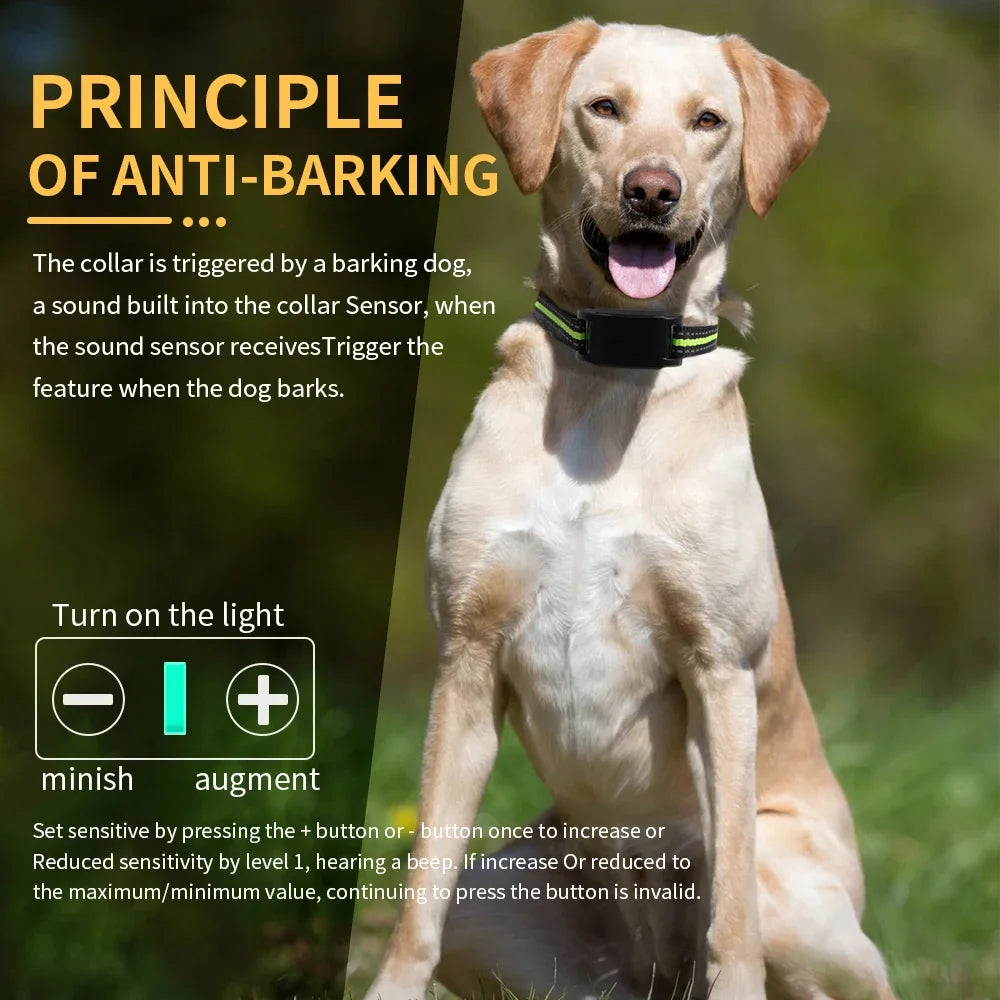 Automatic Anti-Bark Dog Training Collar – USB Rechargeable