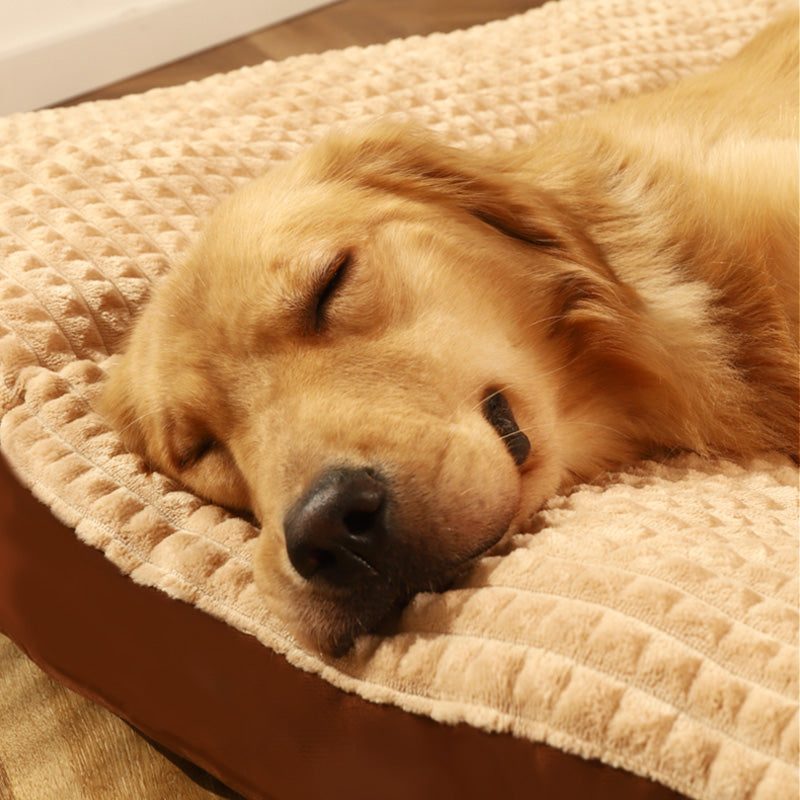 HOOPET Winter Dog Bed - Soft Fleece Blanket & Cushion