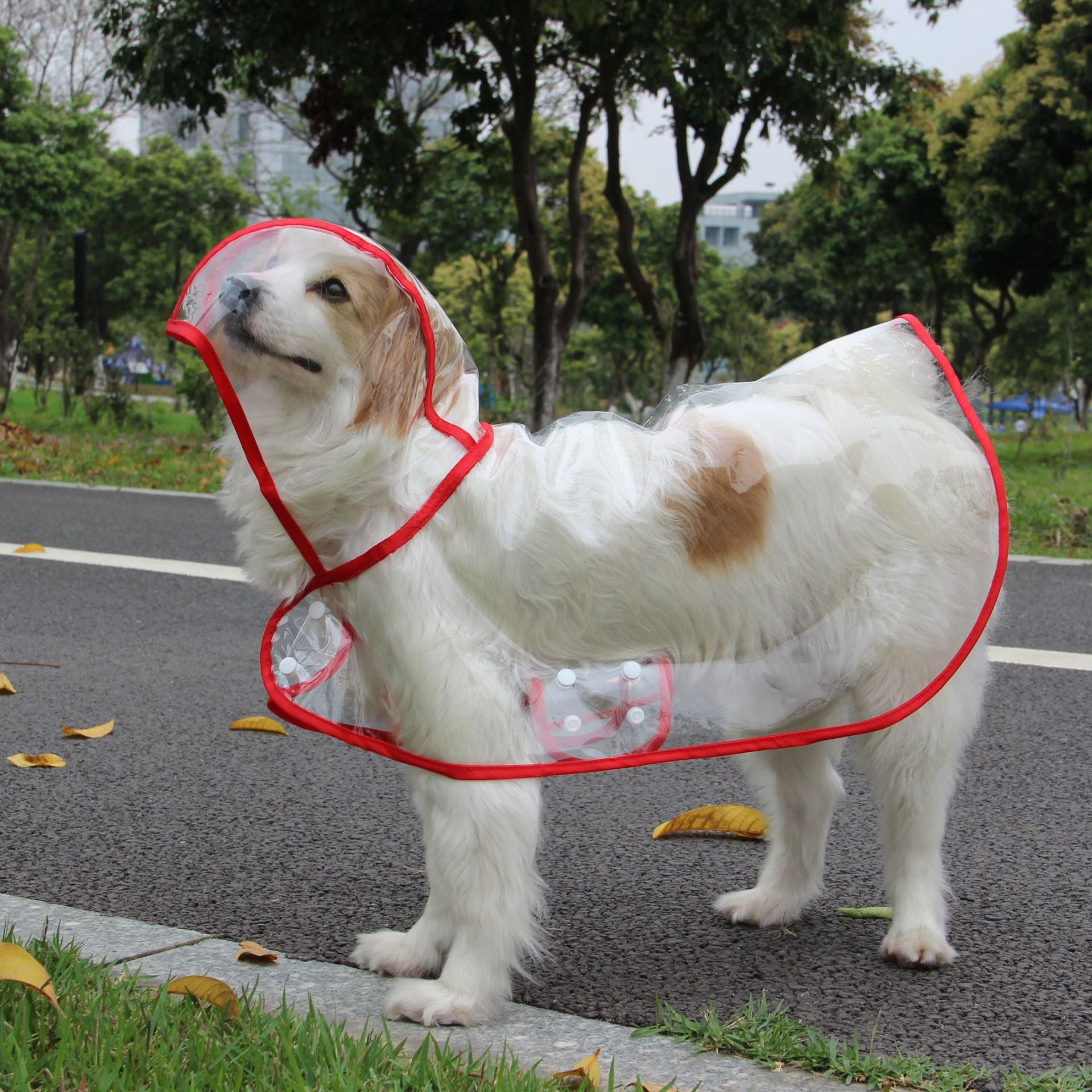 Large Dog Raincoat | Fashionable Waterproof Pet Wear