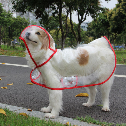 Large Dog Raincoat | Fashionable Waterproof Pet Wear