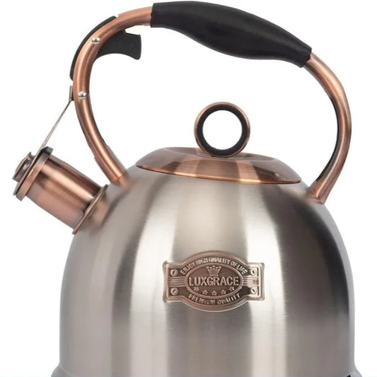 Stainless Steel Tea Kettle